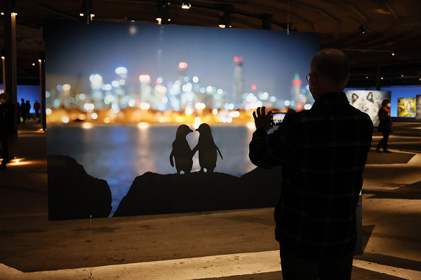Ausstellungsbesucher fotografiert ein Ausstellungsfoto.