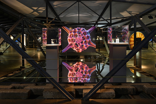 Blick in dei zweite Ausstellungsebene unterhalb der Manege